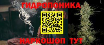 прущие грибы Бузулук