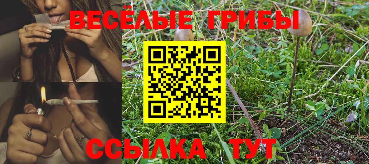 Галлюциногенные грибы MAGIC MUSHROOMS  Галлюциногенные грибы ЛСД  Сыктывкар  Вход с VPN 