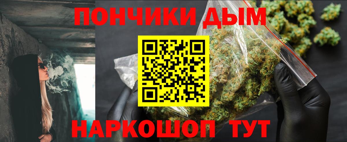 Шишки марихуана марихуана Сыктывкар